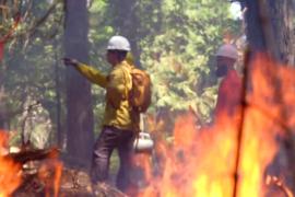 Калифорнийцы учатся бороться с пожарами с помощью огня