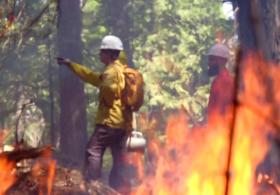 Калифорнийцы учатся бороться с пожарами с помощью огня