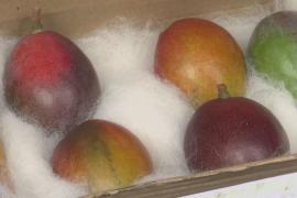 $1200 за манго: фрукты по цене iPhone 13 продают на фестивале в Индии