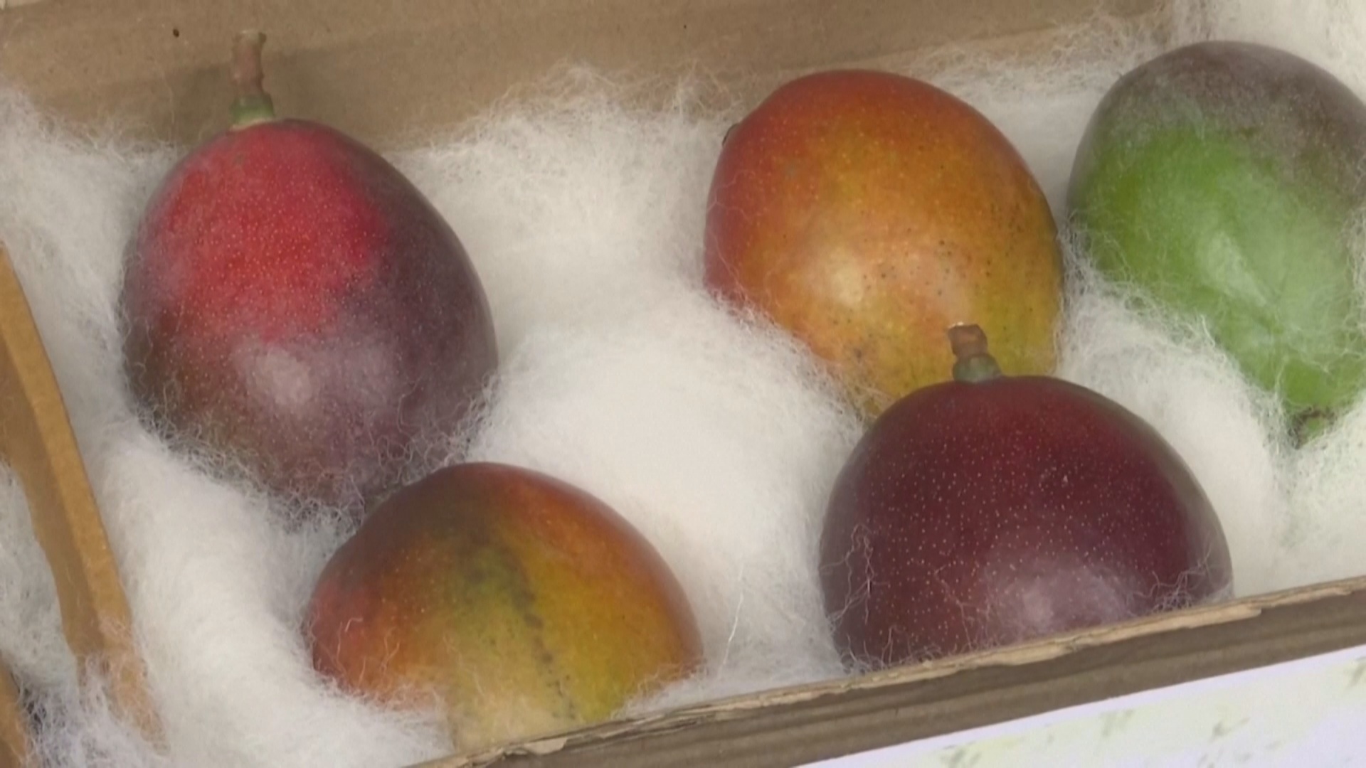 $1200 за манго: фрукты по цене iPhone 13 продают на фестивале в Индии