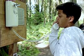 Как телефон в лесу помогает семье поговорить с умершей родственницей