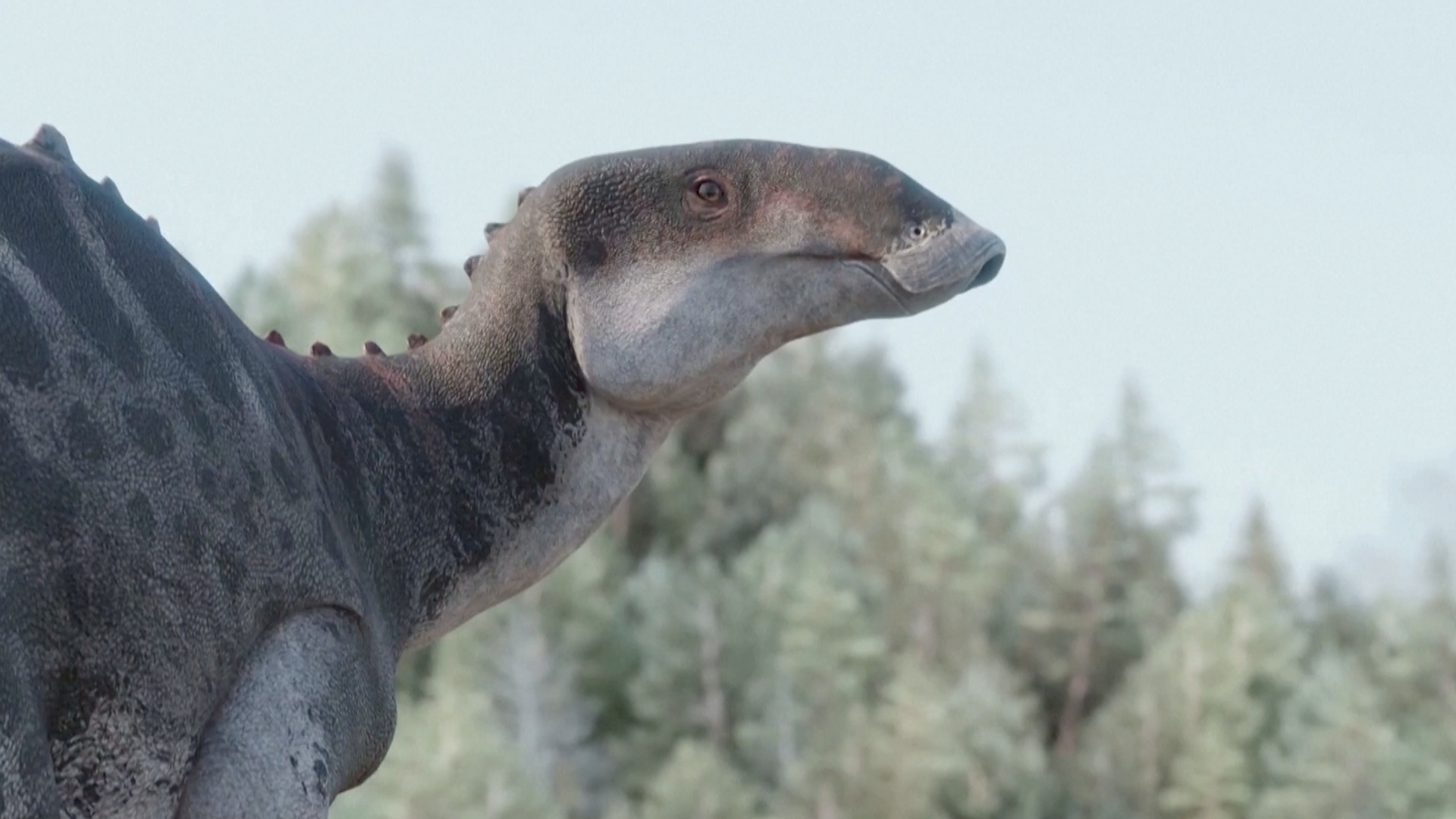 Новый вид «утконосого» динозавра открыли в Чили