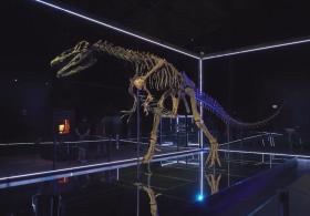 Первый в Дании музей динозавров удивляет гостей уникальными окаменелостями