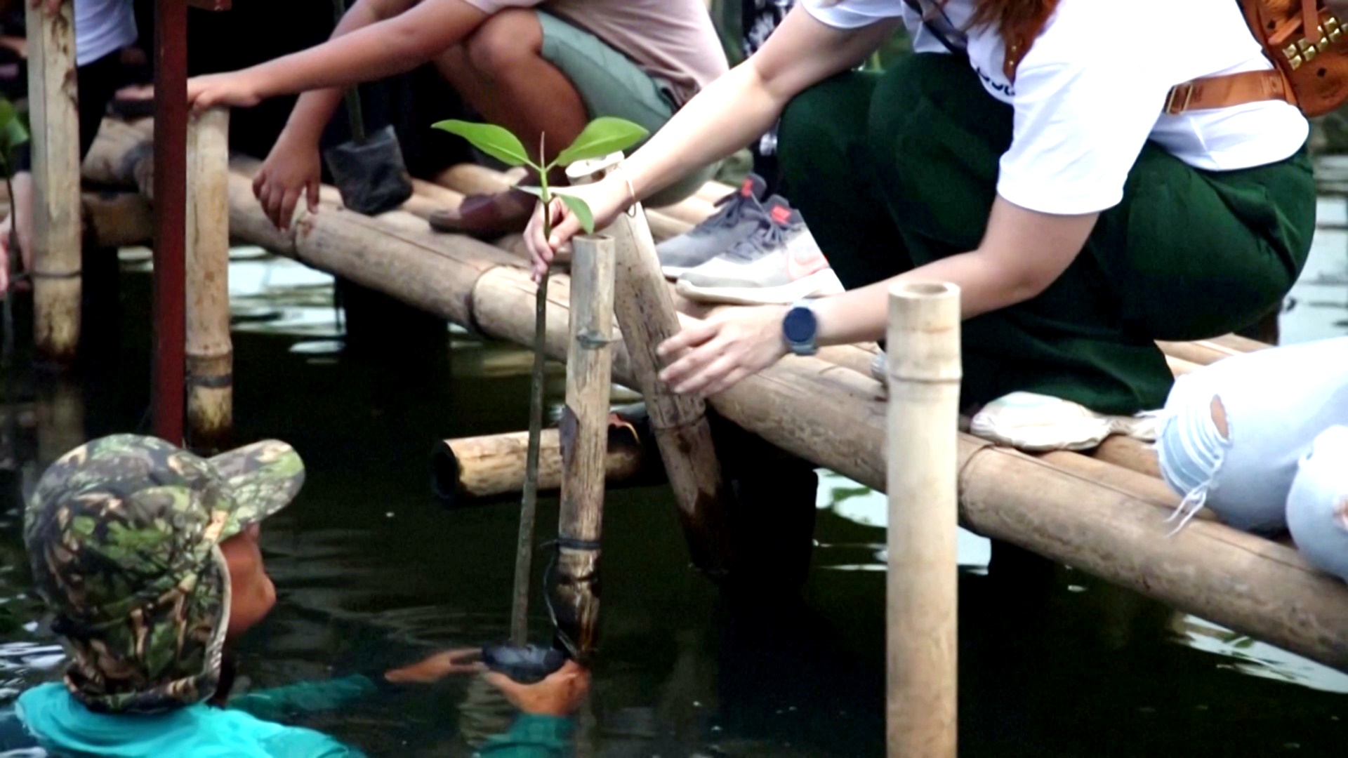 Туристы сеют семена надежды для Джакарты, уходящей под воду