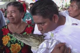 Мэр мексиканского городка женился на крокодиле