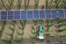 Солнечные панели в огороде: как немецкий фермер увеличивает прибыль