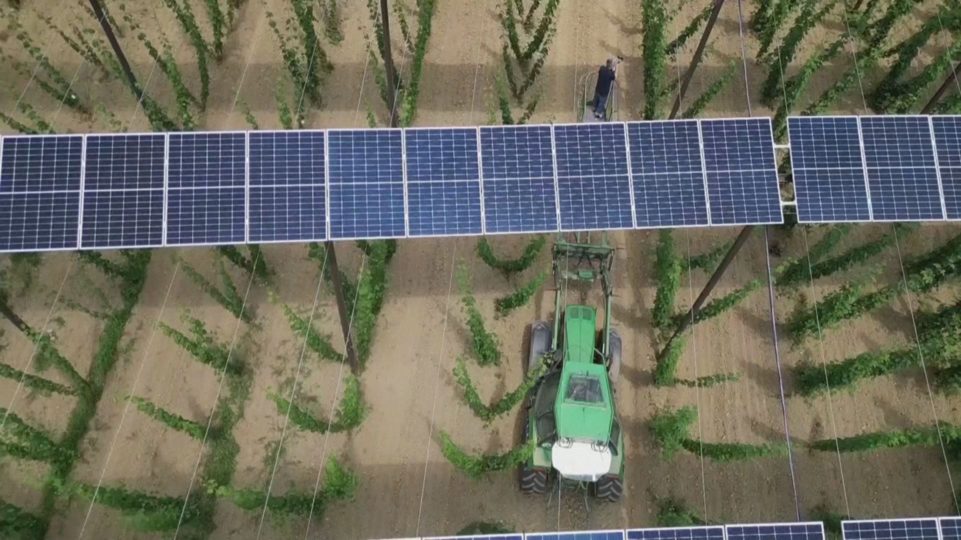 Солнечные панели в огороде: как немецкий фермер увеличивает прибыль