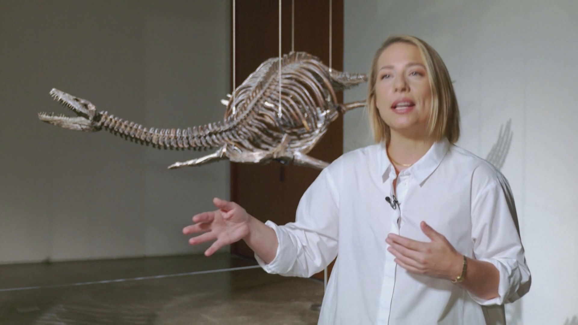 Скелет прототипа лох-несского чудовища выставят на аукцион в Нью-Йорке