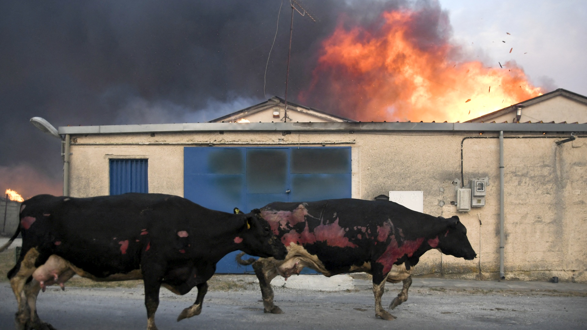 Пожары в Европе: жертвы, ущерб и тысячи эвакуированных