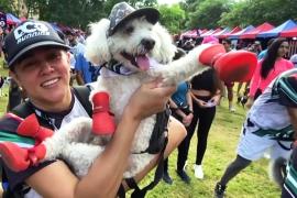 150 собак и их владельцы пробежали 4 км по улицам Каракаса