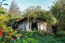 Женщина построила уникальный дом в лесу и живёт в нём 20 лет