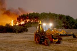 В Греции вспыхнули десятки лесных пожаров