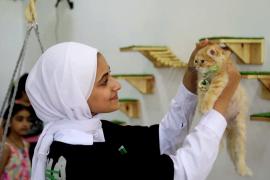 В Газе открылось первое «кошачье кафе»