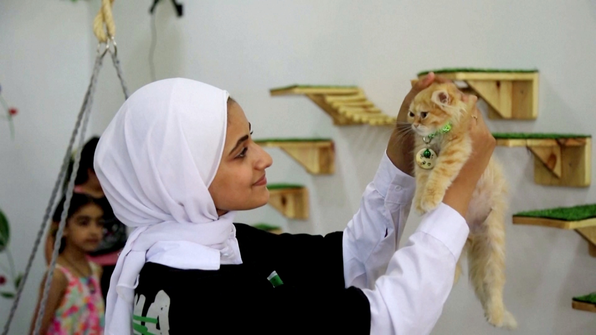 В Газе открылось первое «кошачье кафе»