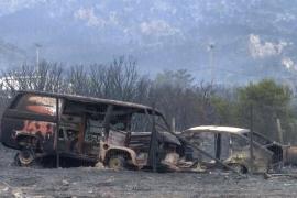 Гибнут люди и скот: в Греции полыхают сотни пожаров