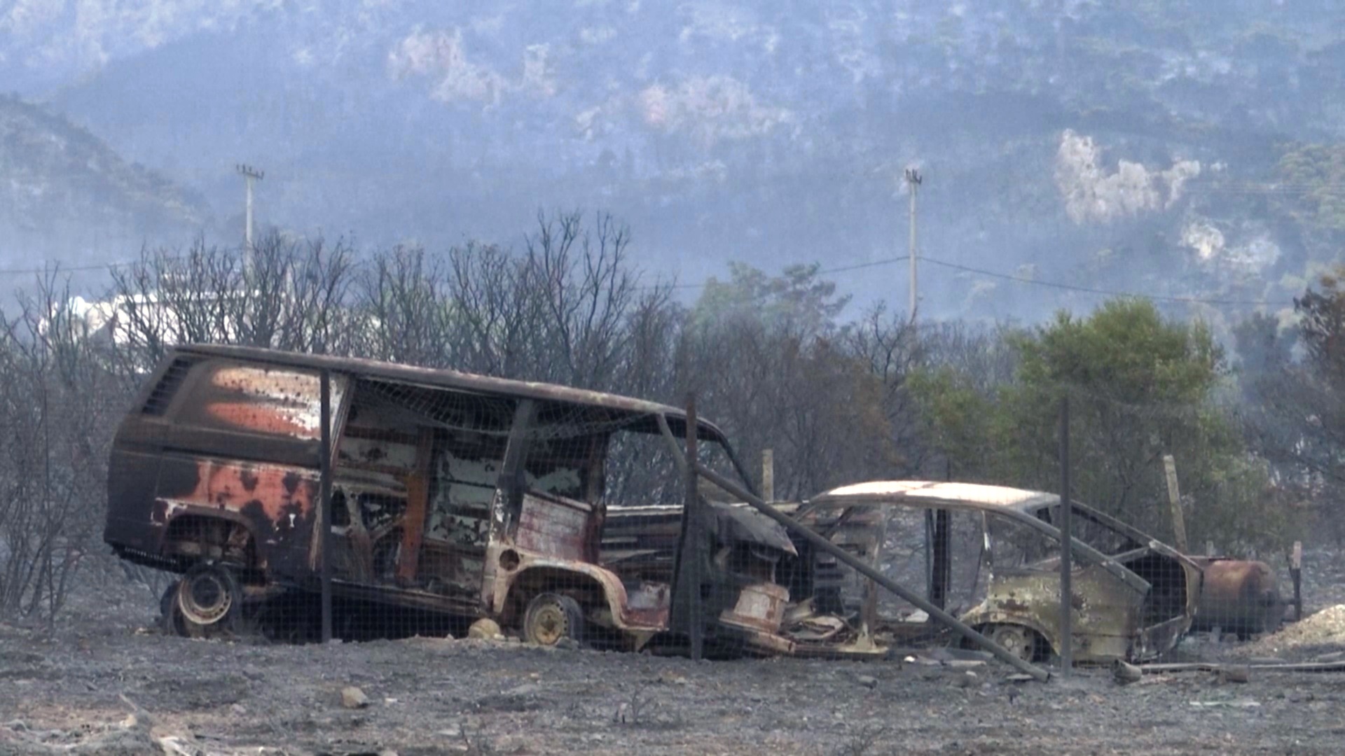 Гибнут люди и скот: в Греции полыхают сотни пожаров