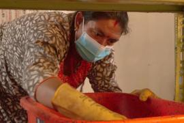 Как непальские женщины зарабатывают на личинках мух