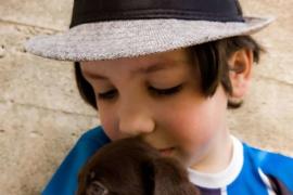 Как мальчик помогает бездомным собакам найти новых хозяев