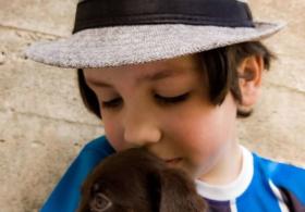 Как мальчик помогает бездомным собакам найти новых хозяев