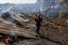 «Ничего не осталось»: греческий фермер потерял всё из-за крупнейшего в ЕС пожара