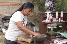В Мексике хранят древнюю традицию делать краску из насекомых