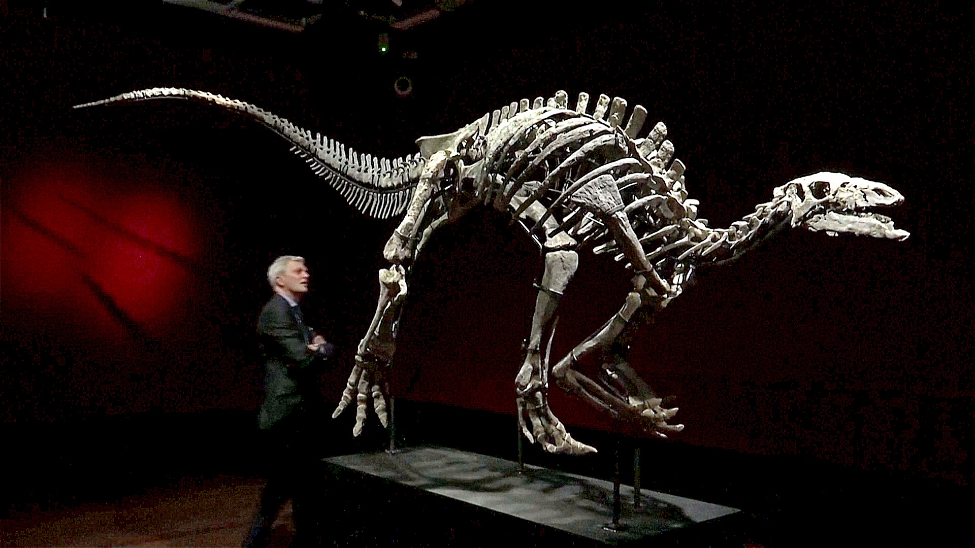 Скелет динозавра, сохранившийся на 80%, выставят на аукцион в Париже
