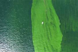 «Мёртвая зона» образовалась в Сиамском заливе у берегов Таиланда из-за планктона