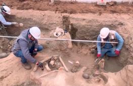 Рабочие в Перу нашли древнее детское кладбище