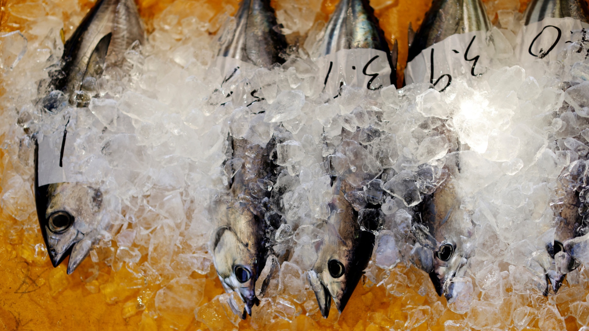 Россия рассмотрит вопрос о запрете импорта морепродуктов из Японии
