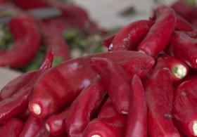 Огненная харисса – кулинарная традиция, признанная ЮНЕСКО
