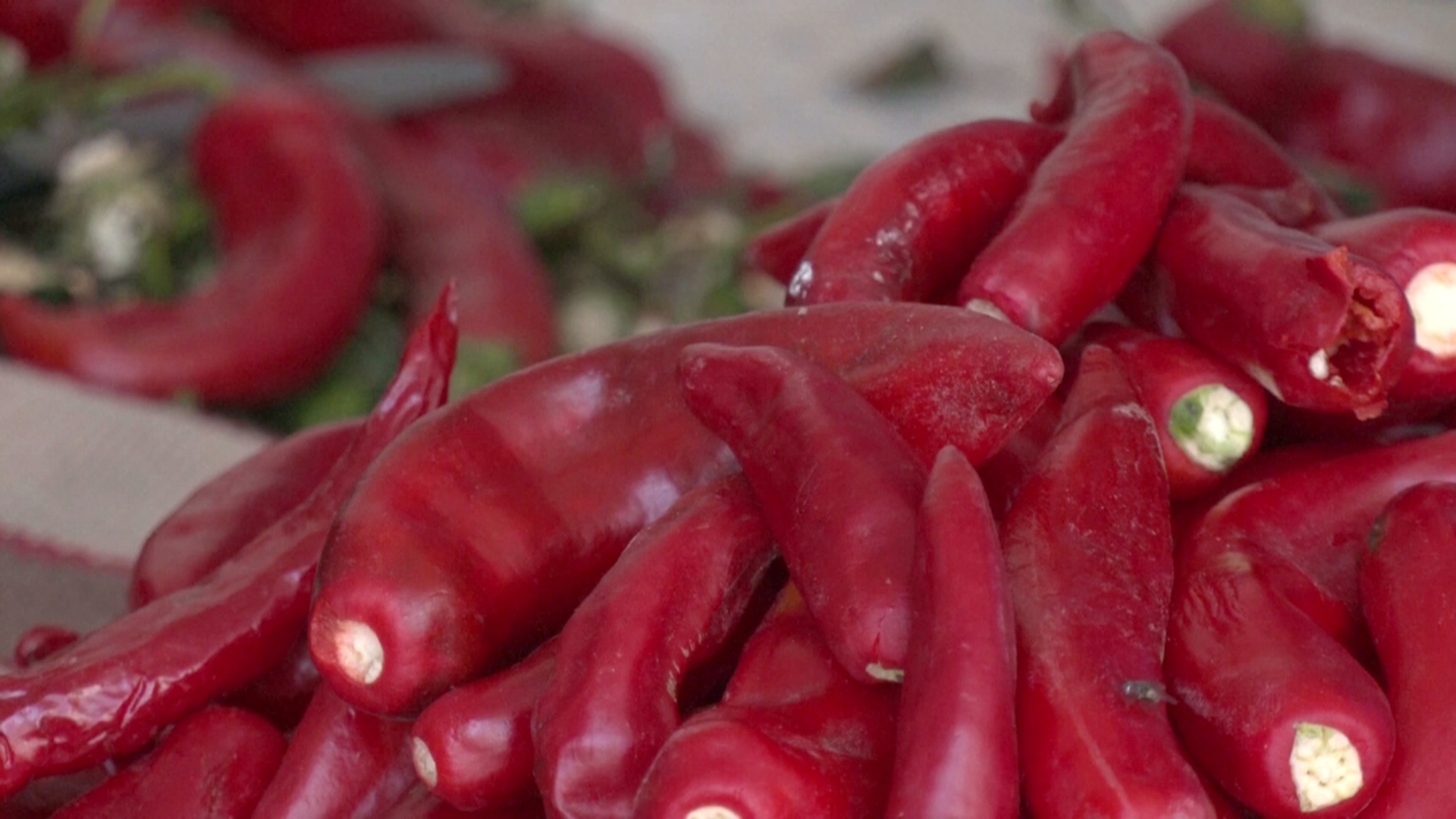 Огненная харисса – кулинарная традиция, признанная ЮНЕСКО