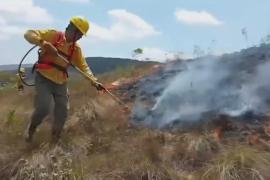 Боливийскую Амазонию охватили лесные пожары