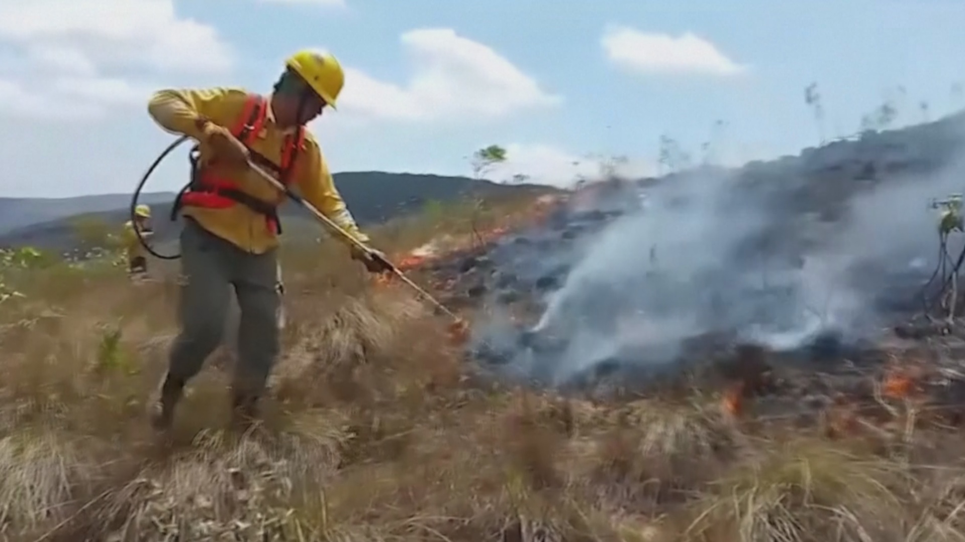 Боливийскую Амазонию охватили лесные пожары