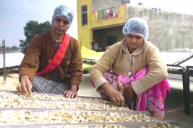 Премию в $1,2 млн получила индийская сушилка для овощей на солнечных батареях