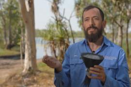 Учёные собирают пыльцу, чтобы узнать биологическую историю Австралии