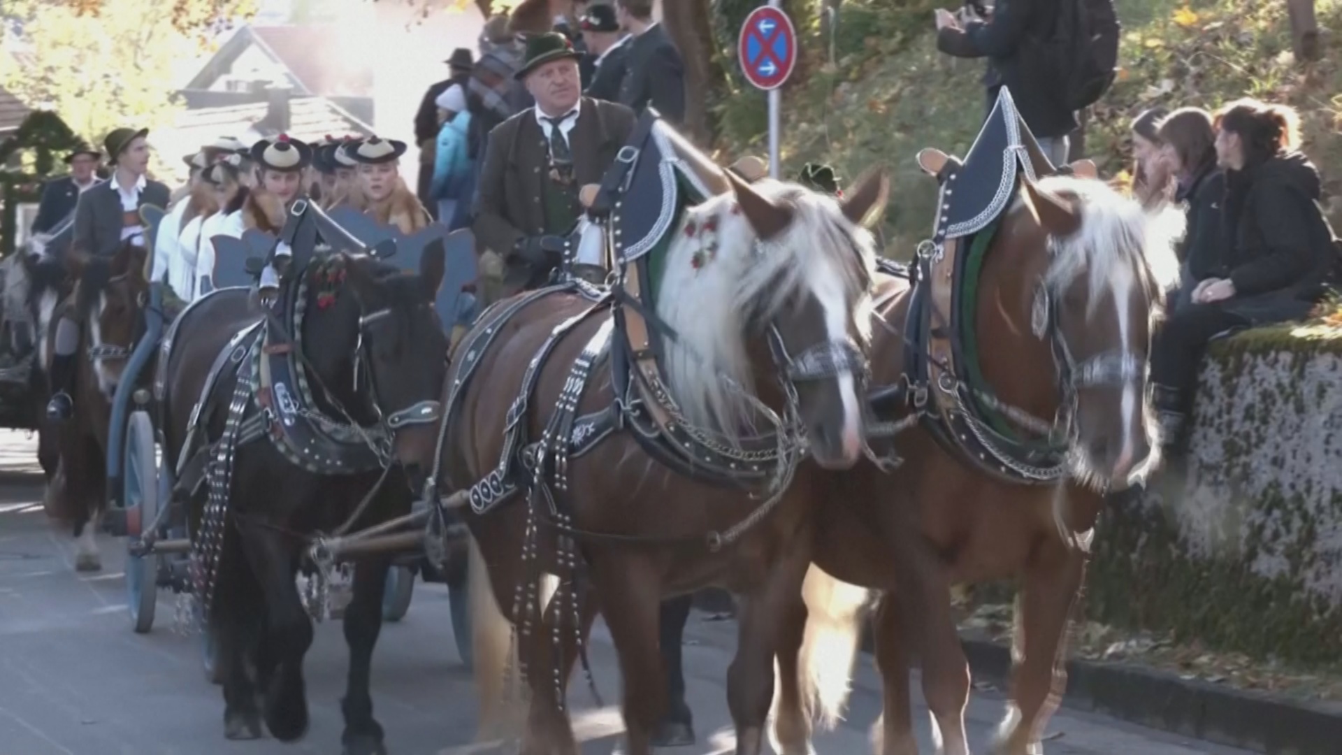 Как в Баварии благословляли лошадей