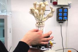 Роботизированную руку, похожую на человеческую, напечатали на новом 3D-принтере в Швейцарии