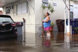Сильный шторм затопил юг Флориды: десятки тысяч домов остались без света