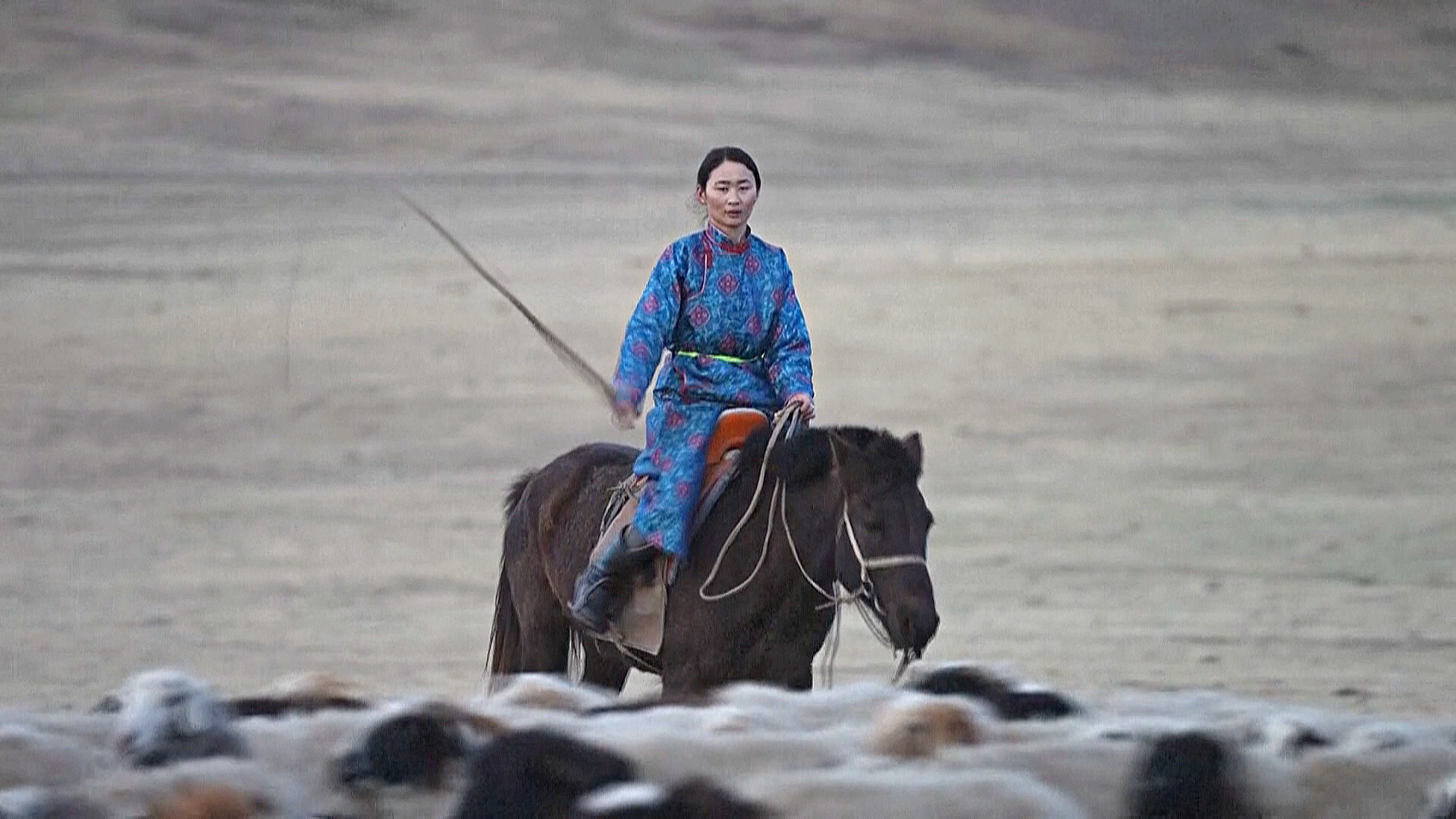 Чему можно научиться у монгольских скотоводов на фоне изменения климата