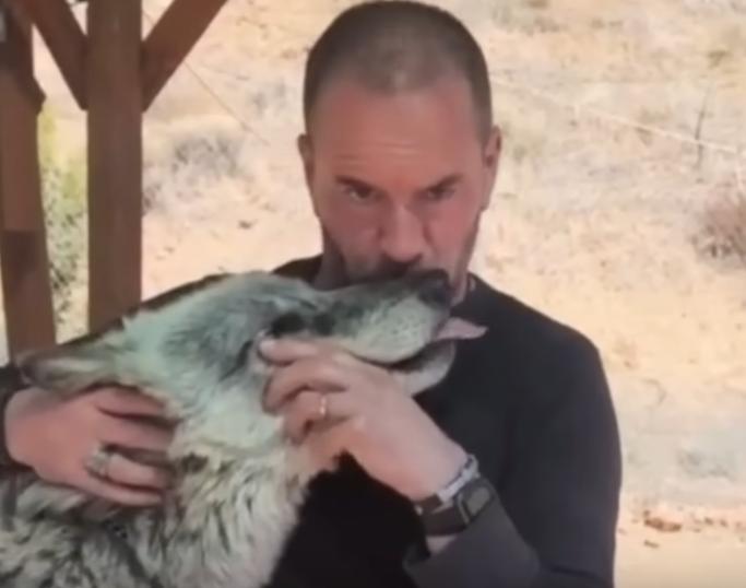 Мужчина спас волка от смерти, теперь они лучшие друзья
