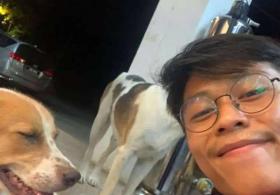 Бездомная собака нашла, где работает человек, который её кормит