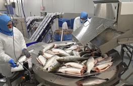Разведение лосося на суше: как компания в Майами нашла новый подход