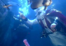 Подводное шоу: как немецкий Санта кормит акул в аквариуме глубиной 5 м