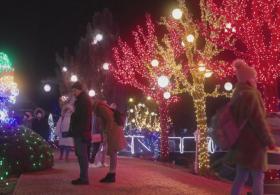 5 млн рождественских огней: хорват превратил своё поместье в город света