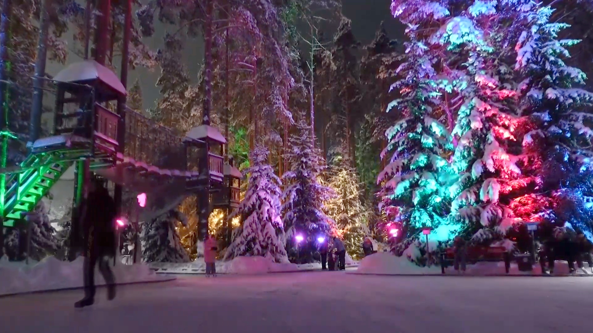 Ледовый каток посреди леса привлекает гостей на курорт под Питером