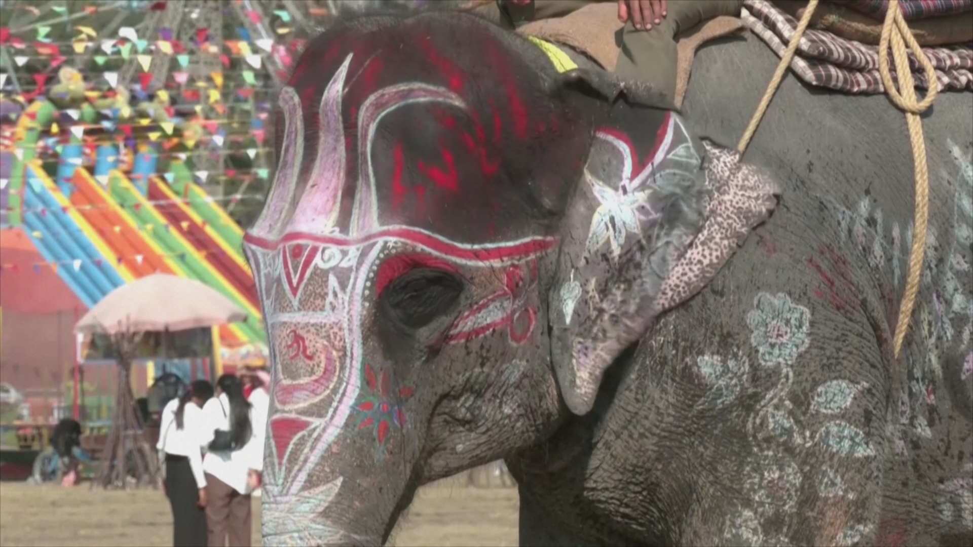 Слоновий конкурс красоты устроили в Непале