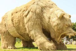 Япония: фестиваль гигантских скульптур из рисовой соломы