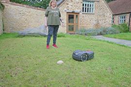 Краш-тесты газонокосилок: как в Великобритании спасают ёжиков