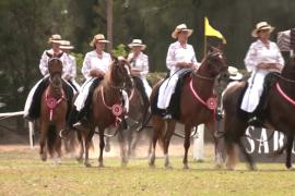 В Перу прошёл конкурс для лошадей местной породы