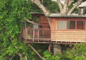 Образование в экстремальных условиях: учебный центр на дереве построили в джунглях Перу